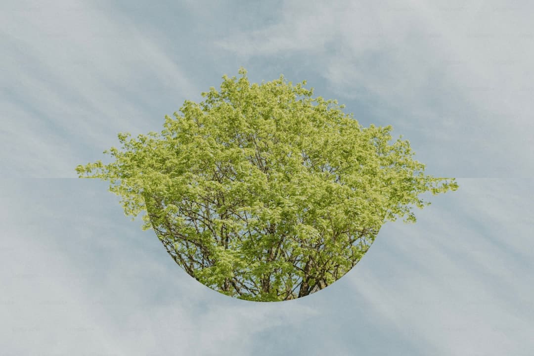 曲奇怎么做